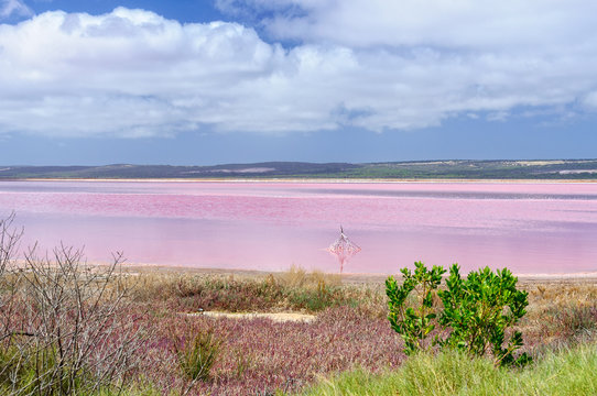 Incredible Pink Lake - Gregory, WA, Australia