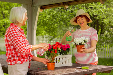 Aged ladies feeling good while talking and watering plants in pots