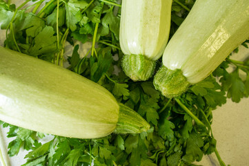 Bunch of white zucchini from ecological agricuture over parsley background