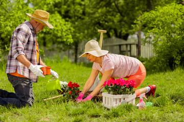 Retired husband and wife wearing summer hats planting flowers