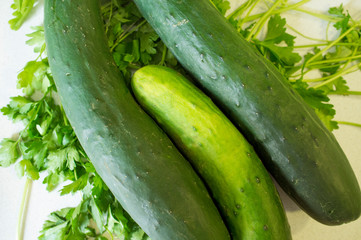Cucumbers from ecological agricuture over parsley background