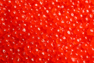 Delicious red caviar as background, close up