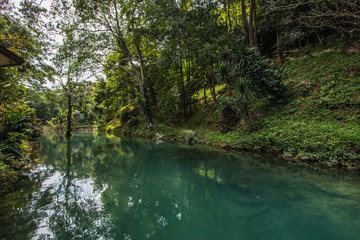 Fototapeta premium water blue and tree 