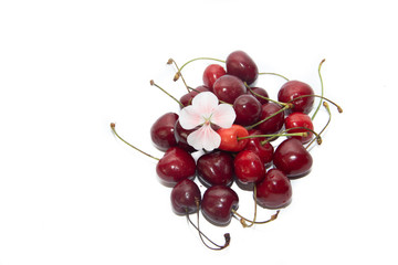 sweet cherry berries isolated on white background. red berries. . Isolated objects