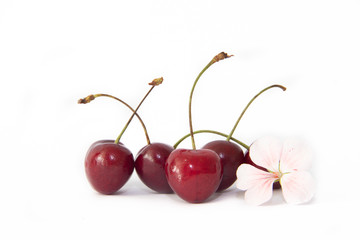 sweet cherry berries isolated on white background. red berries. . Isolated objects