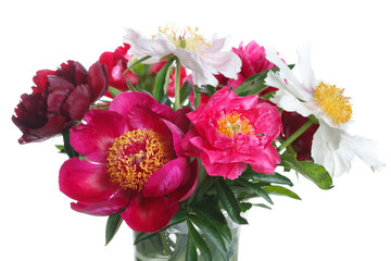 Colorful peonies bouquet isolated on white background.