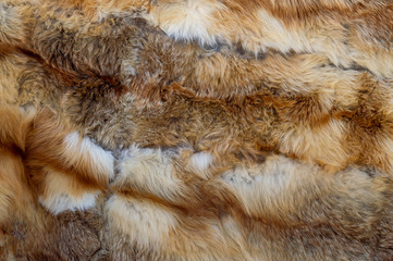 fur of a fox