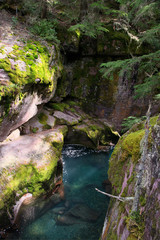 Avalanche Creek