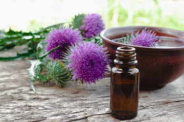 Obraz na płótnie Canvas Bottle of thistle essential oil with thistle flowers on wooden background.