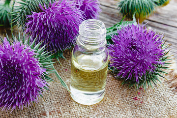 Obraz na płótnie Canvas Thistle essential oil in a bottle on the table near the thistle flowers on wooden background.