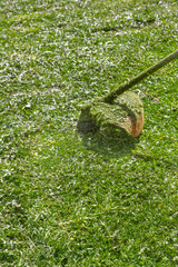 Trimer mow the grass in the suburban area outside the city in the summer