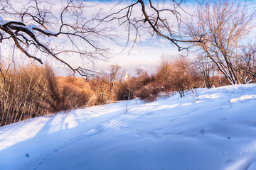 Snow winter panorama