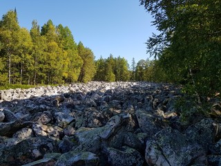 stone river and forest
