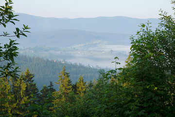 Fototapeta na wymiar Dawn in the Carpathian Mountains. Fog in the valley. Village in the valley. Ukrainian nature. Tourism.