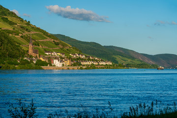 Lorchhausen mit Transportschiff am Rhein bei Sonnenuntergang