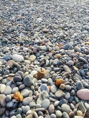 pebbles on the beach