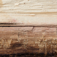 wood texture, aged wood, log