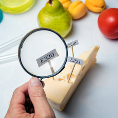 The food safety inspector is testing fruit from the market. Holds a magnifying glass in his hand, considering the cheese.