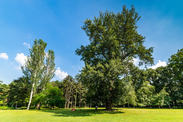 Novi Sad, Serbia - June 19, 2019: Danube Park or (Serbian: Dunavski Park) is an urban park in the downtown of Novi Sad. Formed in 1895, it is protected and is one of the symbols of the city.