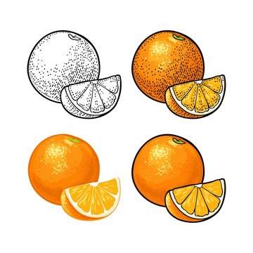Whole and slice orange. Vector color vintage