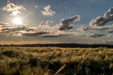 Obraz premium Wolkenhimmel über dem Getreidefeld