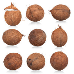 Collection of coconut isolated on a white background