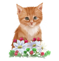 Red kitten and garden flowers