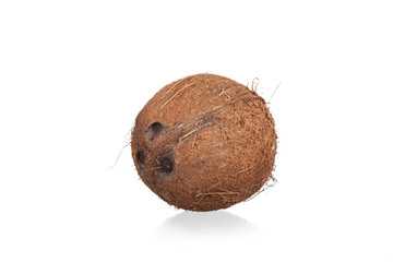 coconuts isolated on the white background