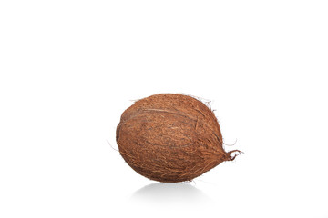 coconuts isolated on the white background