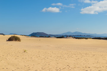 Fototapeta na wymiar playa dunas
