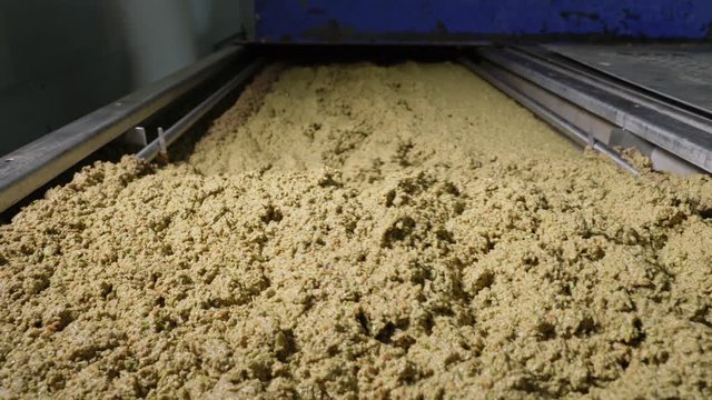 Making olive oil. squeezed olives move inside the lathe.Olives oil mill