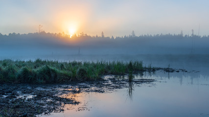 Sunrise over a wetland