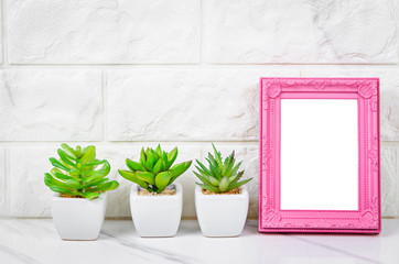 Blank pink vintage photo frame with cactus on marble background.