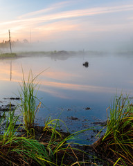 Sunrise over a wetland
