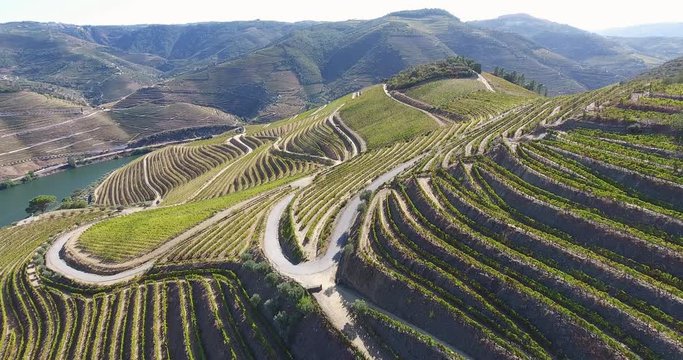 Beautiful Douro Valley aerial shot