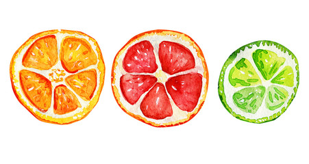 Isolated slices of orange, grapefruit and lime.