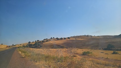 Travel : Summer Mountain