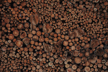 A pile of cut wood. Wood for the production of particle board