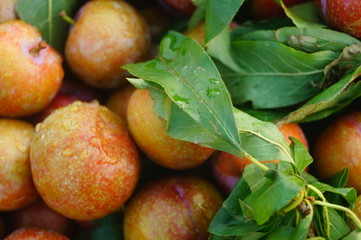 Fruit plums