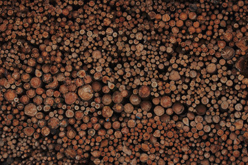 A pile of cut wood. Wood for the production of particle board