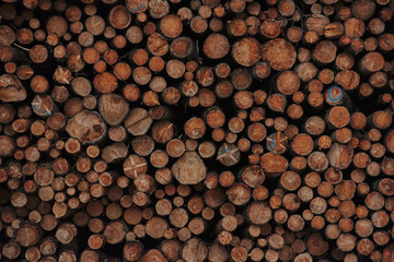 A pile of cut wood. Wood for the production of particle board