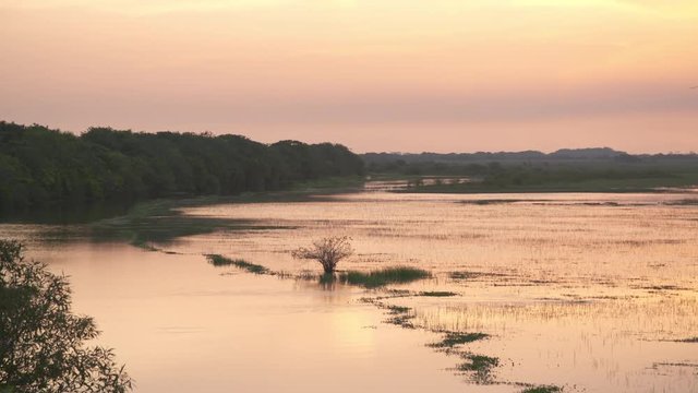 Wide high angle early morning Panoramic panning shot of partial silhouettes of thick tropical trees along wetland river plain, and bright sky light reflections on wildlife rich reserve water, Wisirare