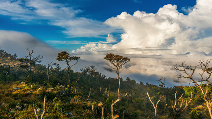 Fototapeta na wymiar clouds view top of bawakaraeng malino.