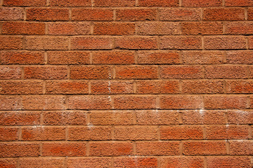 Orange brick wall texture shot