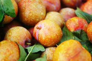 Fruit plums