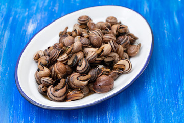 boiled snails with herbs in white dish on wooden background