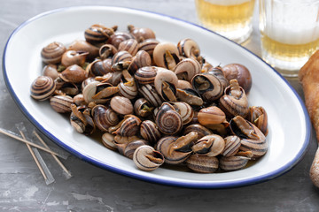 boiled snails with herbs in white dish on ceramic background