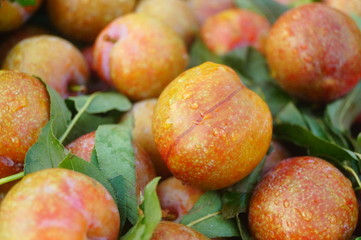 Fruit plums