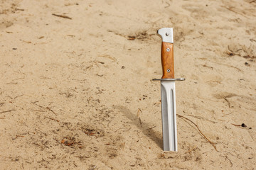 Hunter knife with wooden handle stuck in the sand. Copy space.