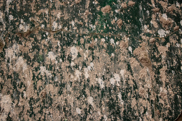 Green rough grunge worn metal texture
